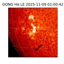 gong - 2025-11-09T01:00:42