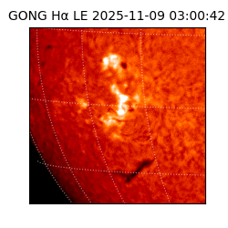 gong - 2025-11-09T03:00:42