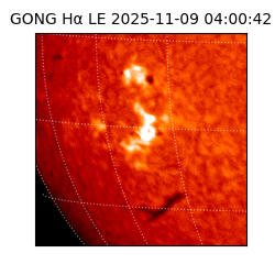 gong - 2025-11-09T04:00:42