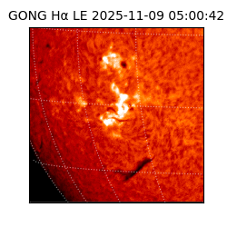 gong - 2025-11-09T05:00:42