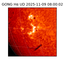 gong - 2025-11-09T08:00:02