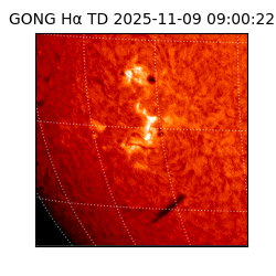 gong - 2025-11-09T09:00:22