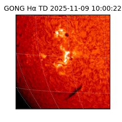 gong - 2025-11-09T10:00:22