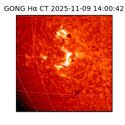 gong - 2025-11-09T14:00:42