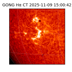 gong - 2025-11-09T15:00:42