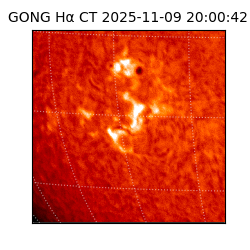gong - 2025-11-09T20:00:42