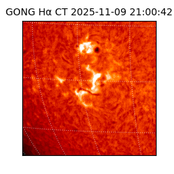 gong - 2025-11-09T21:00:42
