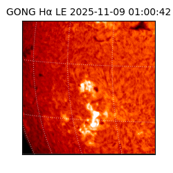 gong - 2025-11-09T01:00:42