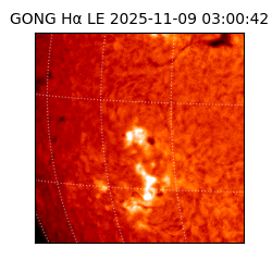 gong - 2025-11-09T03:00:42