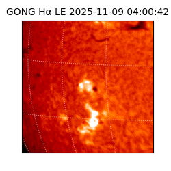 gong - 2025-11-09T04:00:42