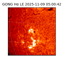 gong - 2025-11-09T05:00:42