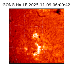 gong - 2025-11-09T06:00:42