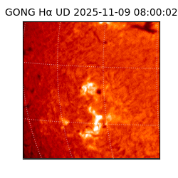 gong - 2025-11-09T08:00:02