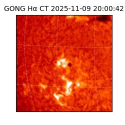 gong - 2025-11-09T20:00:42