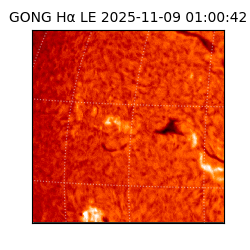 gong - 2025-11-09T01:00:42