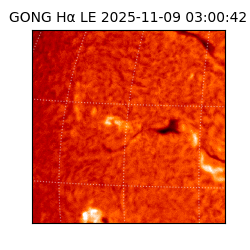 gong - 2025-11-09T03:00:42