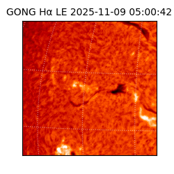 gong - 2025-11-09T05:00:42