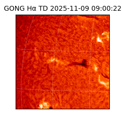 gong - 2025-11-09T09:00:22