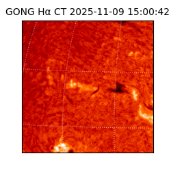gong - 2025-11-09T15:00:42