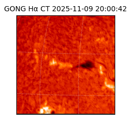 gong - 2025-11-09T20:00:42
