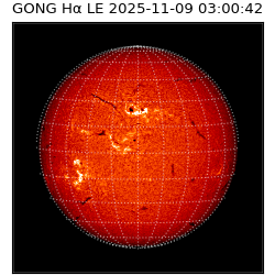gong - 2025-11-09T03:00:42