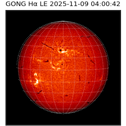 gong - 2025-11-09T04:00:42