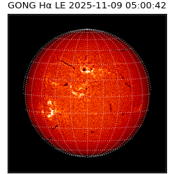 gong - 2025-11-09T05:00:42