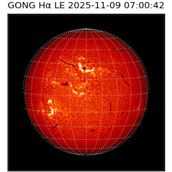 gong - 2025-11-09T07:00:42