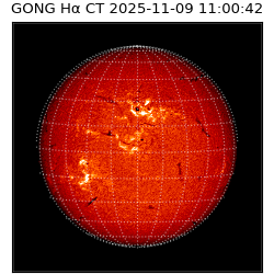 gong - 2025-11-09T11:00:42