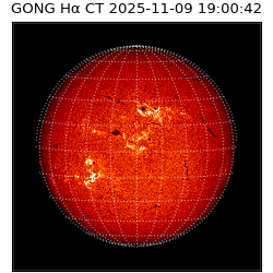 gong - 2025-11-09T19:00:42
