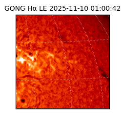 gong - 2025-11-10T01:00:42