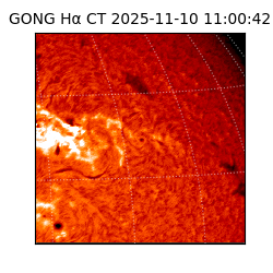 gong - 2025-11-10T11:00:42