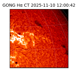 gong - 2025-11-10T12:00:42