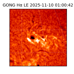 gong - 2025-11-10T01:00:42