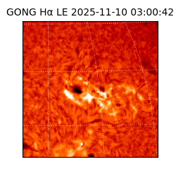 gong - 2025-11-10T03:00:42