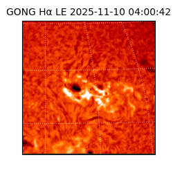 gong - 2025-11-10T04:00:42