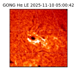 gong - 2025-11-10T05:00:42