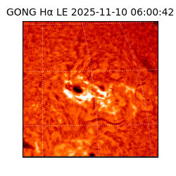 gong - 2025-11-10T06:00:42