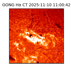 gong - 2025-11-10T11:00:42