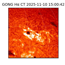 gong - 2025-11-10T15:00:42