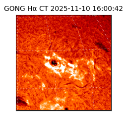 gong - 2025-11-10T16:00:42