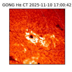 gong - 2025-11-10T17:00:42