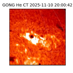 gong - 2025-11-10T20:00:42