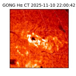 gong - 2025-11-10T22:00:42