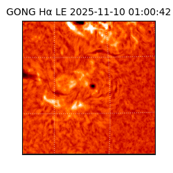 gong - 2025-11-10T01:00:42