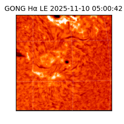 gong - 2025-11-10T05:00:42