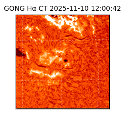 gong - 2025-11-10T12:00:42