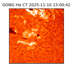 gong - 2025-11-10T15:00:42