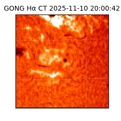 gong - 2025-11-10T20:00:42