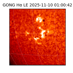 gong - 2025-11-10T01:00:42